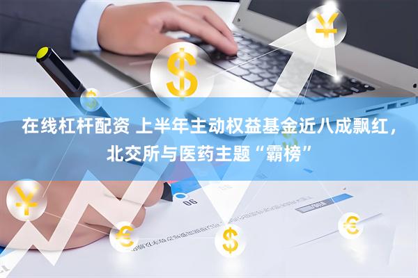 在线杠杆配资 上半年主动权益基金近八成飘红，北交所与医药主题“霸榜”