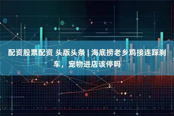配资股票配资 头版头条 | 海底捞老乡鸡接连踩刹车，宠物进店该停吗